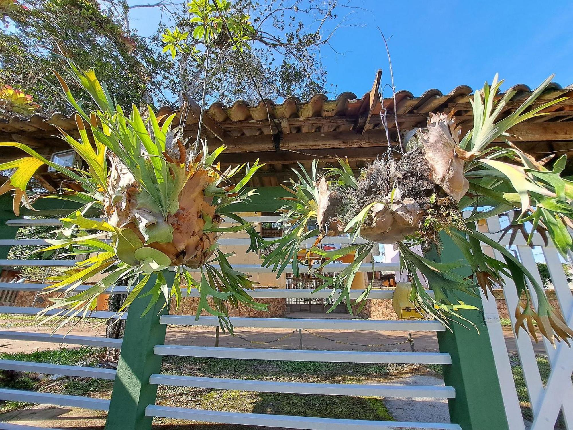 Linda Casa 4 Qts Churrasqueira Prainha Mambucaba Araquari Zewnętrze zdjęcie
